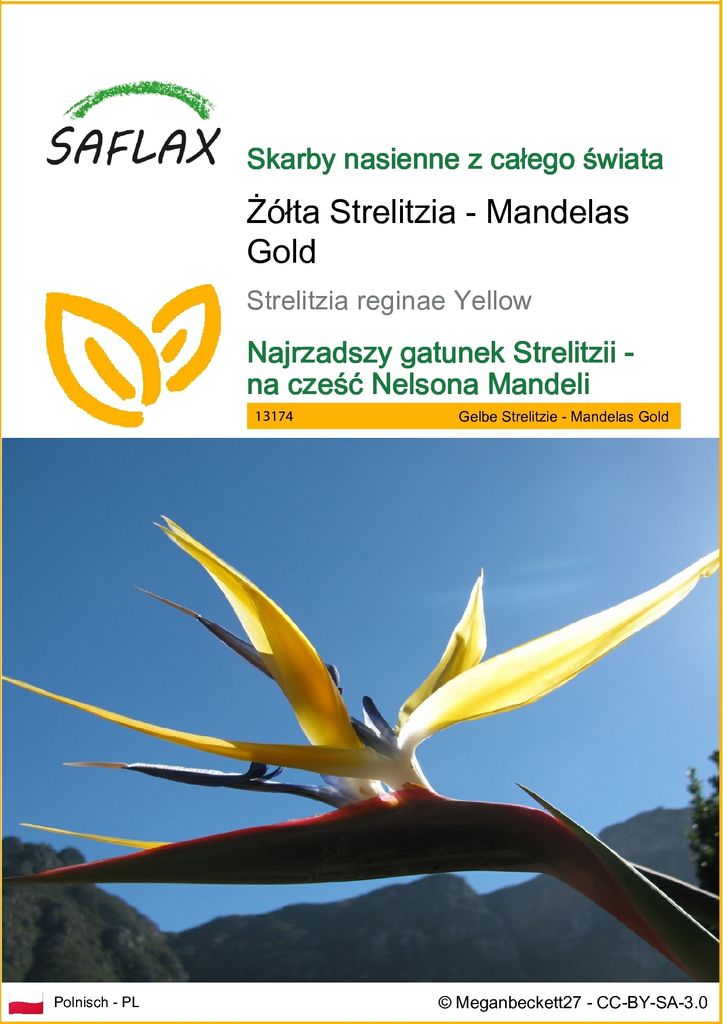 SAFLAX - Żółta Strelitzia - Mandelas Gold - 4 Nasiona - Zdjęcie produktu 