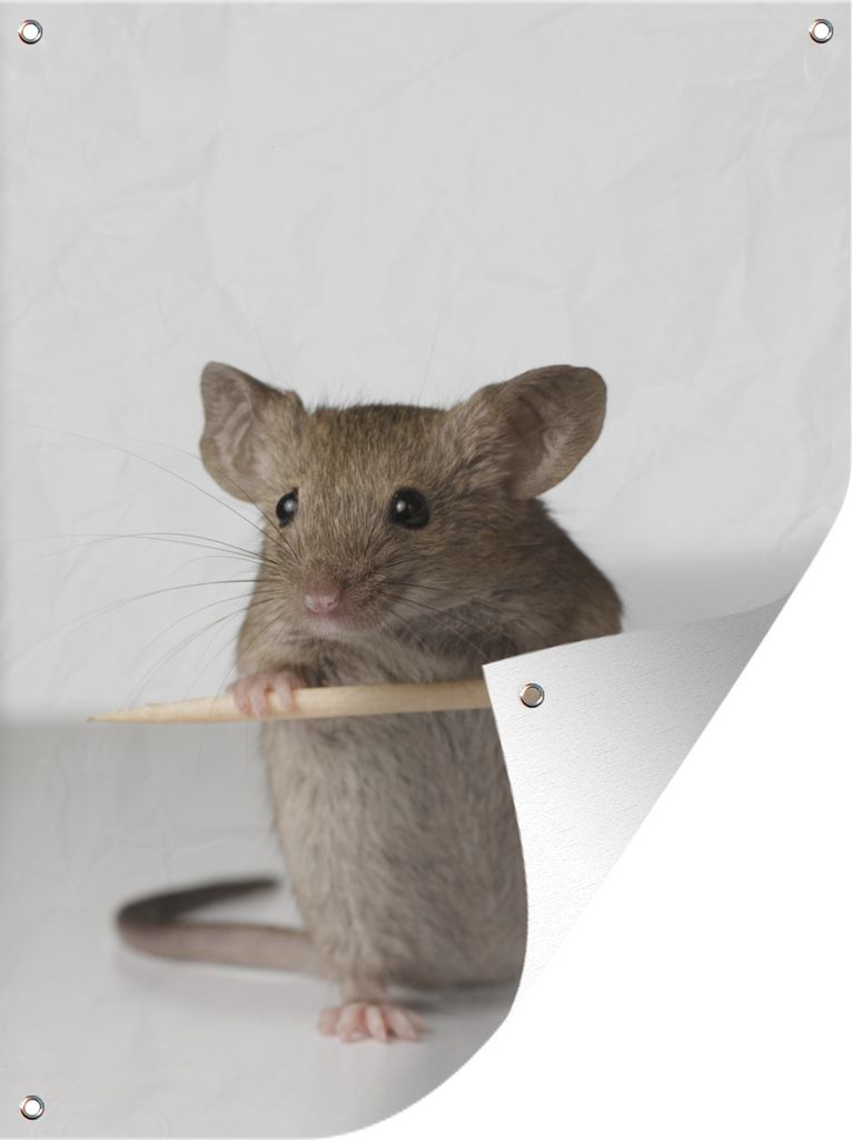 MuchoWow 60x80 cm Outdoor-Poster Gartendeko Sichtschutz Garten Poster für den Garten Maus mit Krümeln