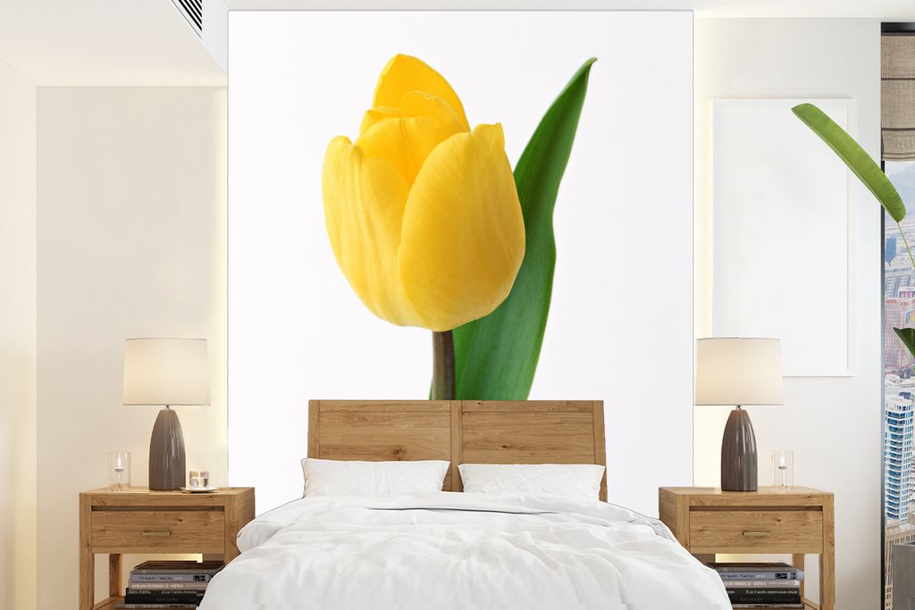 MuchoWow Fototapete für Wohnzimmer oder Schlafzimmer Wandtapete Vinyl Motivtapete Gelbe Tulpe vor einem weißen Hintergrund - 205x280 cm - Wandbild