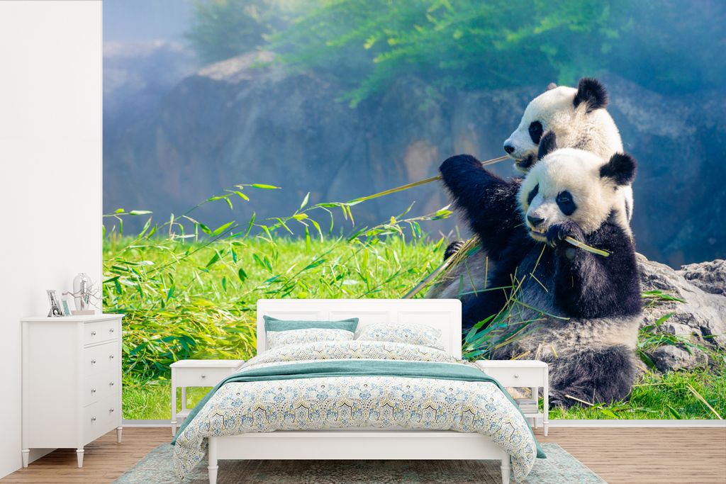 MuchoWow Fototapete für Wohnzimmer oder Schlafzimmer Wandtapete Vinyl Motivtapete Panda - Bambus - Gras - Tiere - 360x240 cm - Vinyl-Tapete