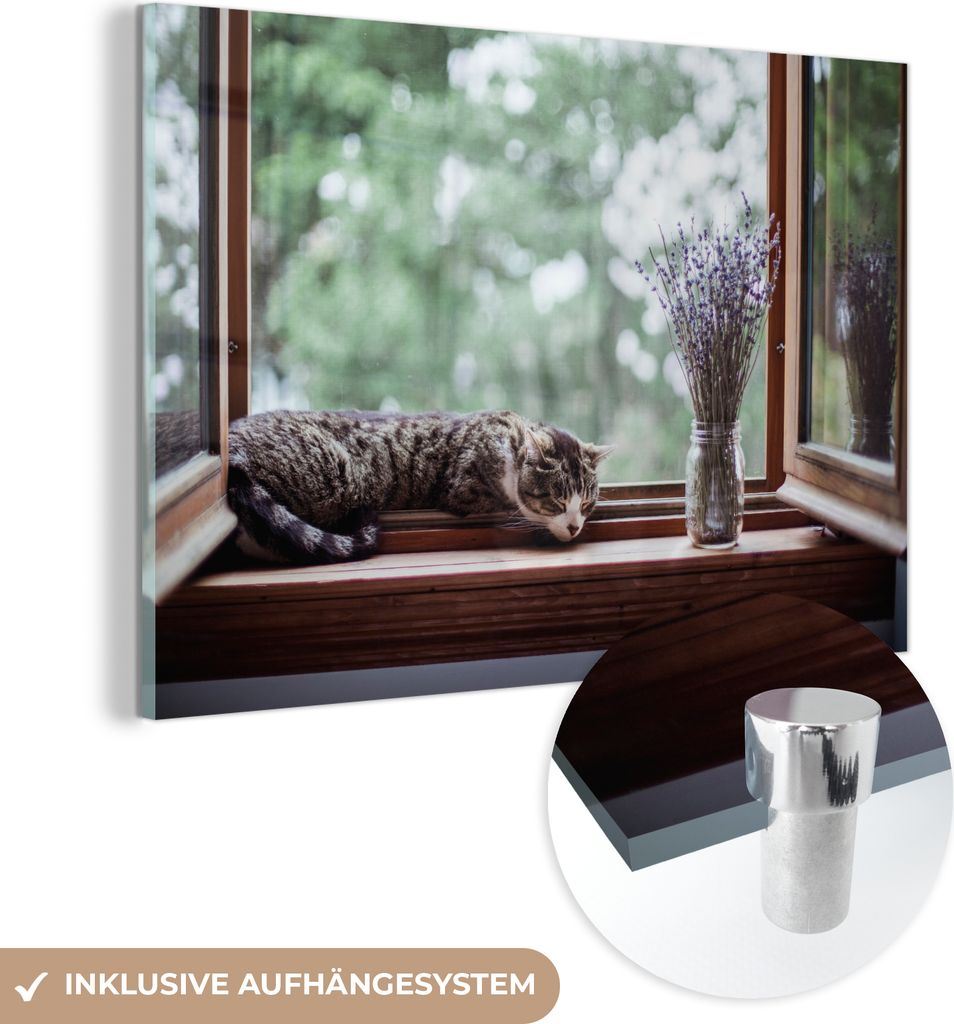 MuchoWow Glasbilder - Bilder auf Wandbild - Foto auf Glas Zypresse Katze aus dem Fenster 120x80 cm Wanddekoration aus Glas - Acrylglasbild - Acrylb...