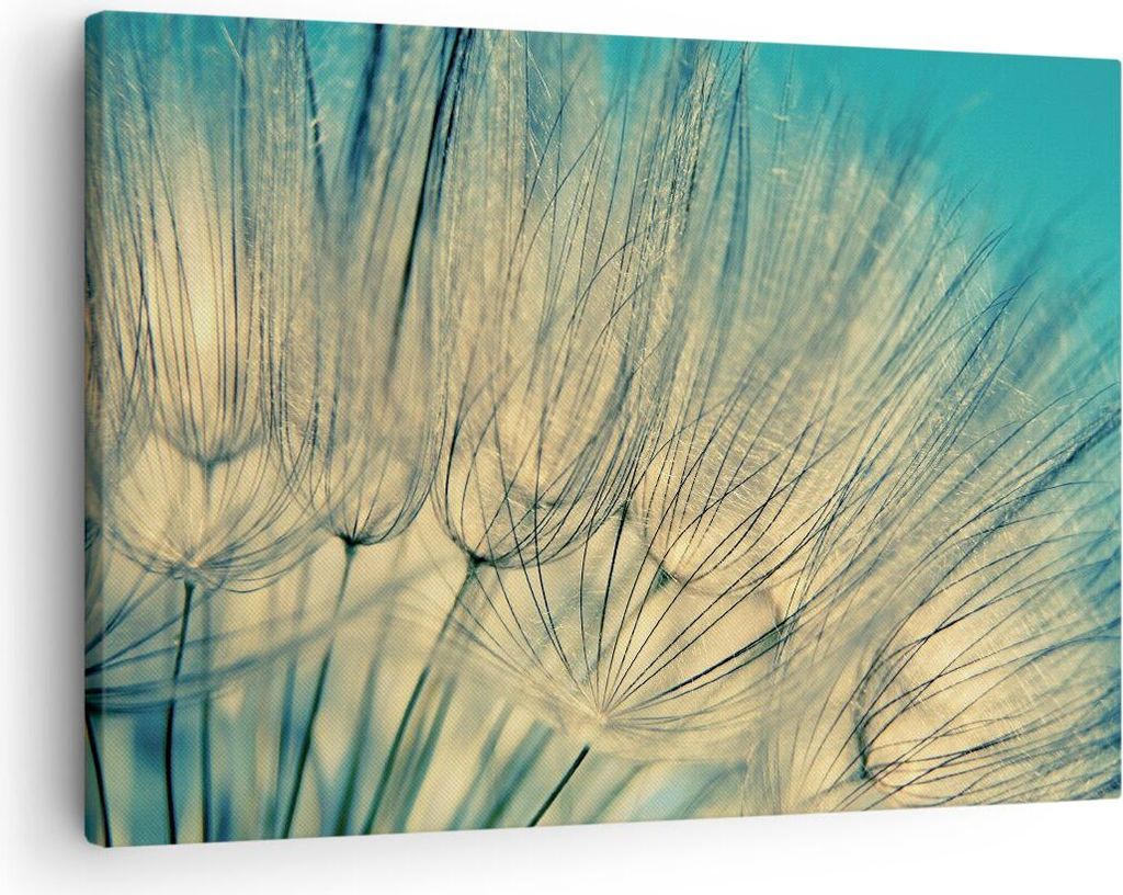 Bild auf Leinwand - Leinwandbild - Einteilig - Löwenzahn Makro Löwenzahn - 70x50cm - Wand Bild - Wanddeko - Wandbilder - Leinwanddruck - Bilder -...