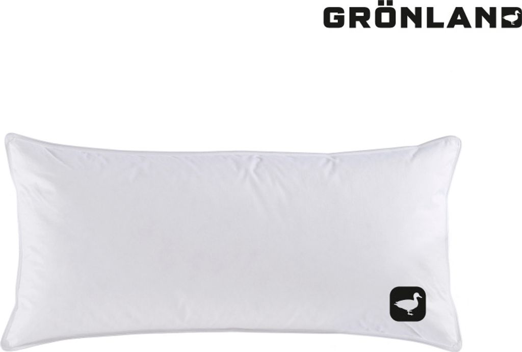 Häussling Grönland Gänse Kopfkissen 40x80 cm | Federn- und Daunenkissen, Kissen, Deutsche Manufaktur, auch für Allergiker geeignet, Bezug 100% ...