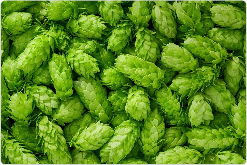 Küchenmatte 120x180 cm Vinylmatte Bodenmatte Dekoration - Frische Hopfendolden