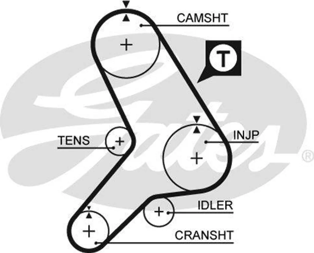 Courroie crantée haute résistance GATES 5281 pour moteur OE 7596692