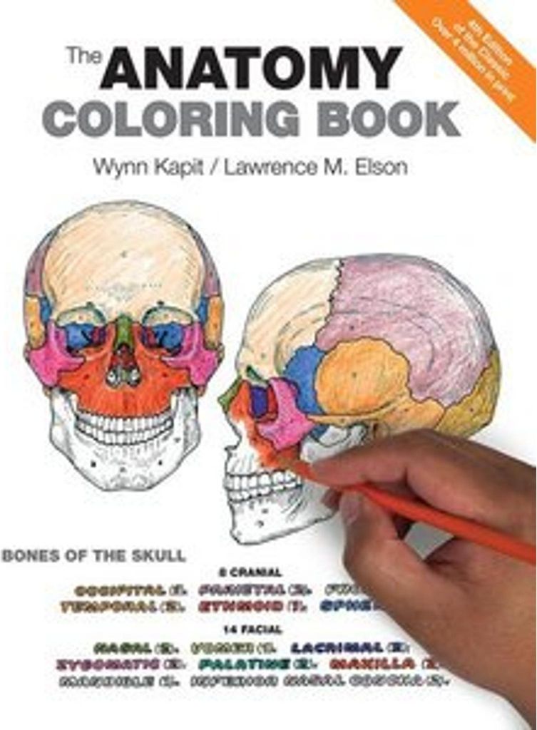 Anatomy Coloring Book, The