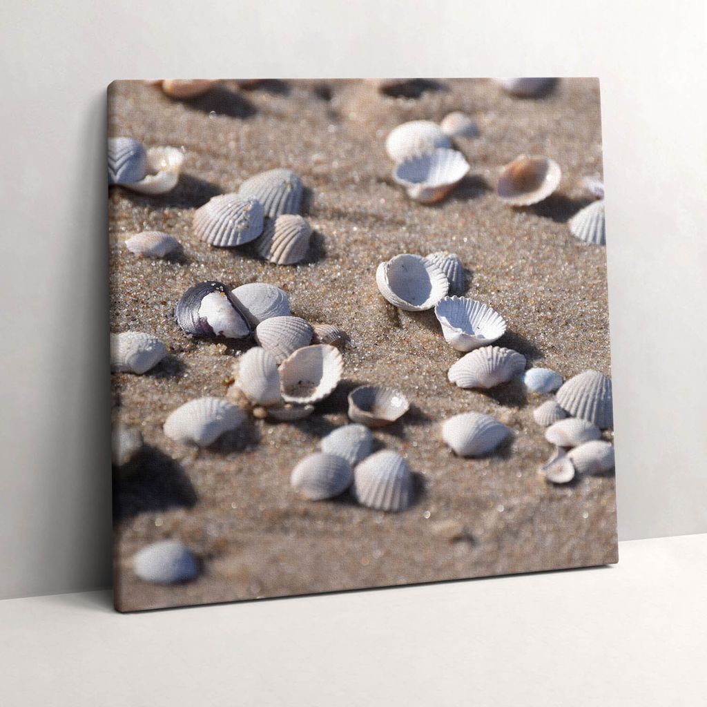 Seashells on the beach – Leinwandbild Wandbild – 60x60 cm – Leinwandbilder – Wandbilder – Schlafzimmer – Flur