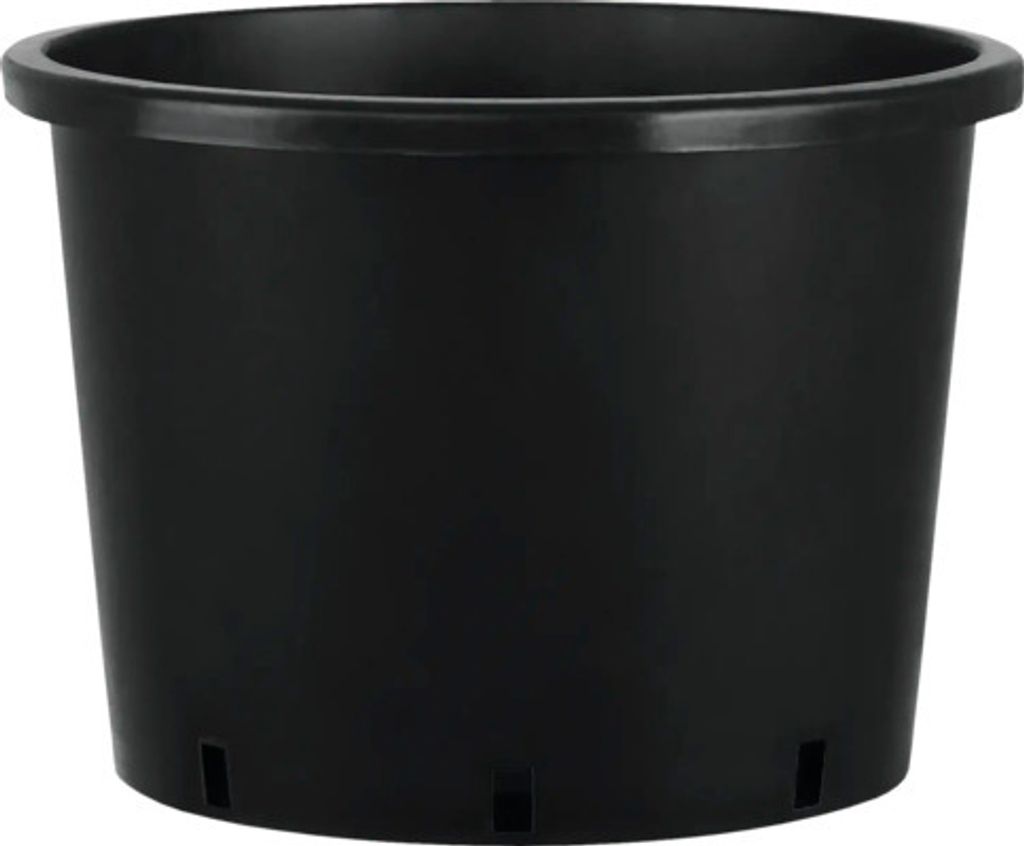 A black plastic plant pot is shown against a white background.