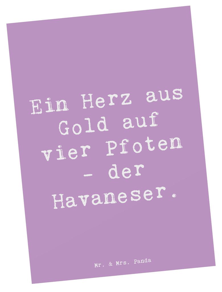 Mr. & Mrs. Panda Postkarte Spruch Goldherz Havaneser - Lavendeltraum - Geschenk, bildkarte, Charakter, Hunderassen Eigenschaften, einzelkarte, Gru...