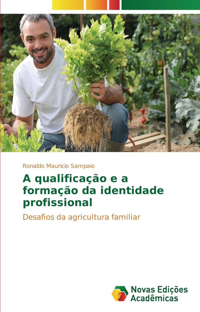 A qualificação e a formação da identidade profissional