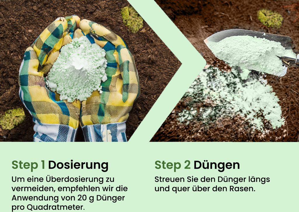 glanzmispel mit kaffeesatz düngen Purgrün Glanzmispeldünger 1 kg main image 1