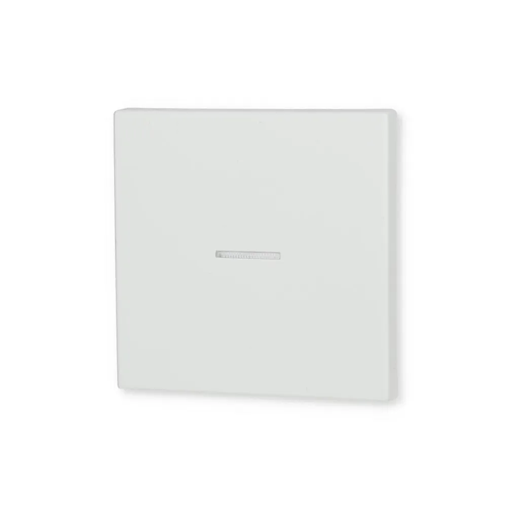 Plaque de Commande JUNG LS 990 KO5 WWM pour Rénovation de Qualité - 3