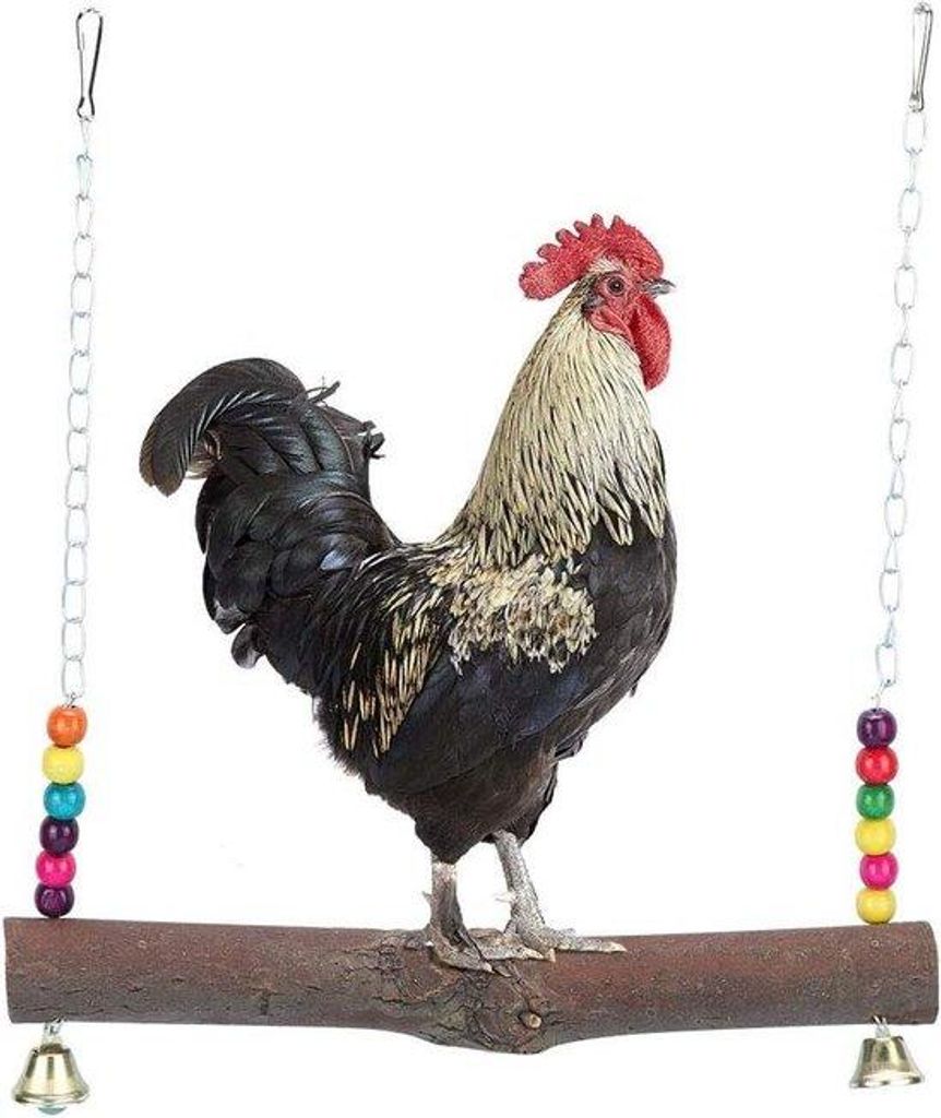 Afrikanische Greifvögel Spielzeug mit Holzblöcken - mittelgroße und große Papageien und Kakadus - graue Afrikanische Greifvögel mit Bellen .
