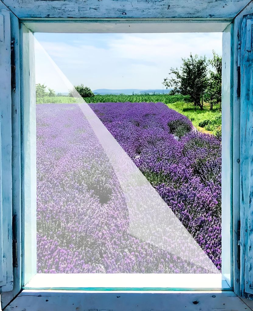 Pollenschutzvlies Pollenschutzgitter Insektenschutz für Fenster 3 Stück à 130x150cm für Allergiker mit 2 Klettbänder zuschneidbar