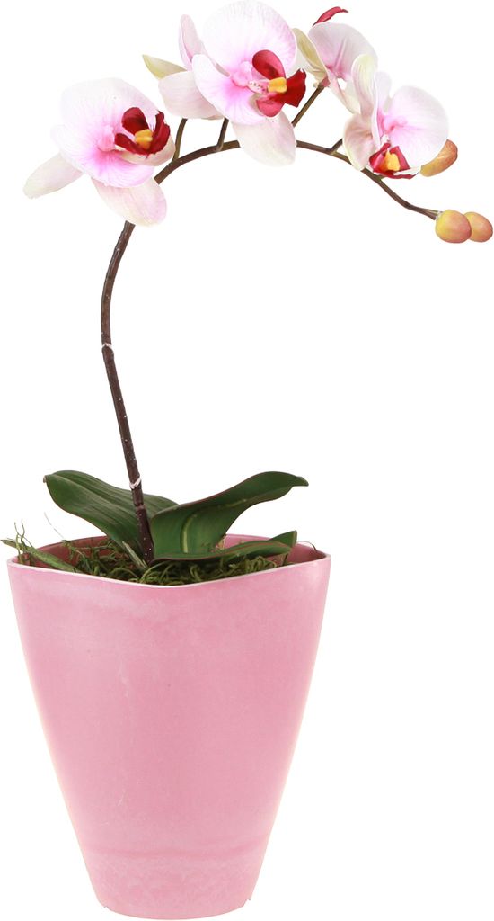 Moderner Kunststoff-Blumentopf für Orchideen und Dekoration, 2 Stück