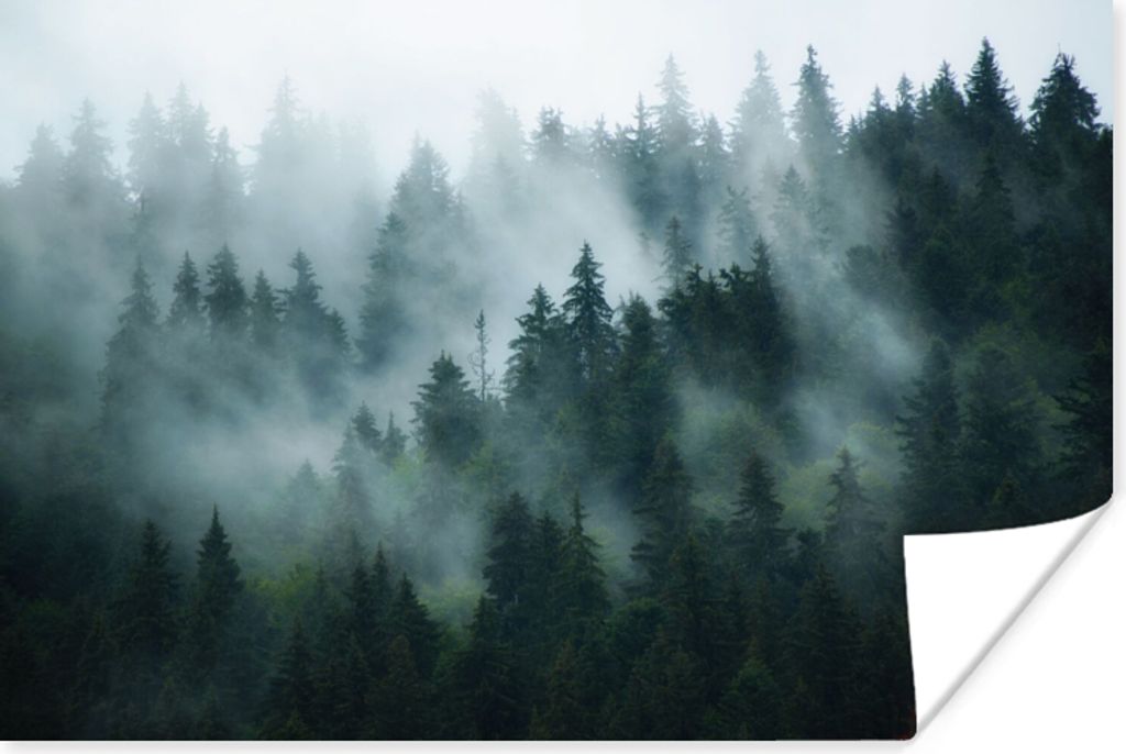 MuchoWow Poster Nebel - Bäume - Wald 60x40 cm - Schlafzimmerdekoration