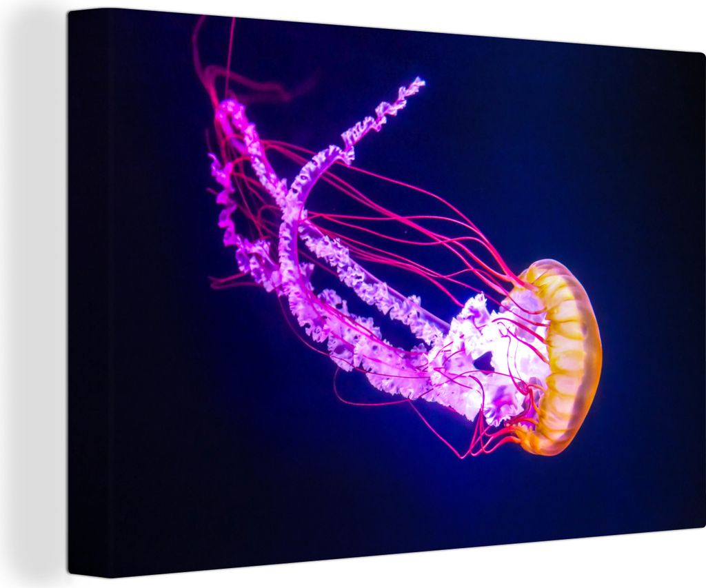 OneMillionCanvasses - Leinwandbilder - 140x90 cm, Eine leuchtende Qualle im dunklen Wasser, Wandbilder Kunstdruck Wanddekoration