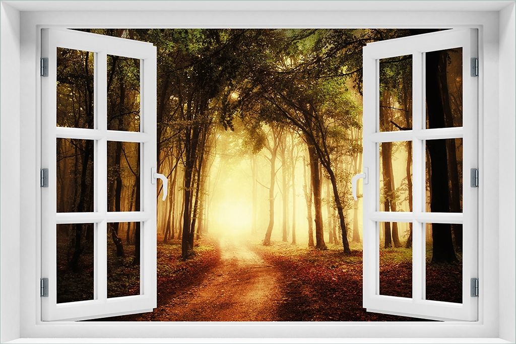 Wallario Premium Glasbild mit Fensterrahmen, freischwebende Optik, kräftige Farben, Größe 60 x 90 cm Motiv Sonnenuntergang auf dem Waldweg