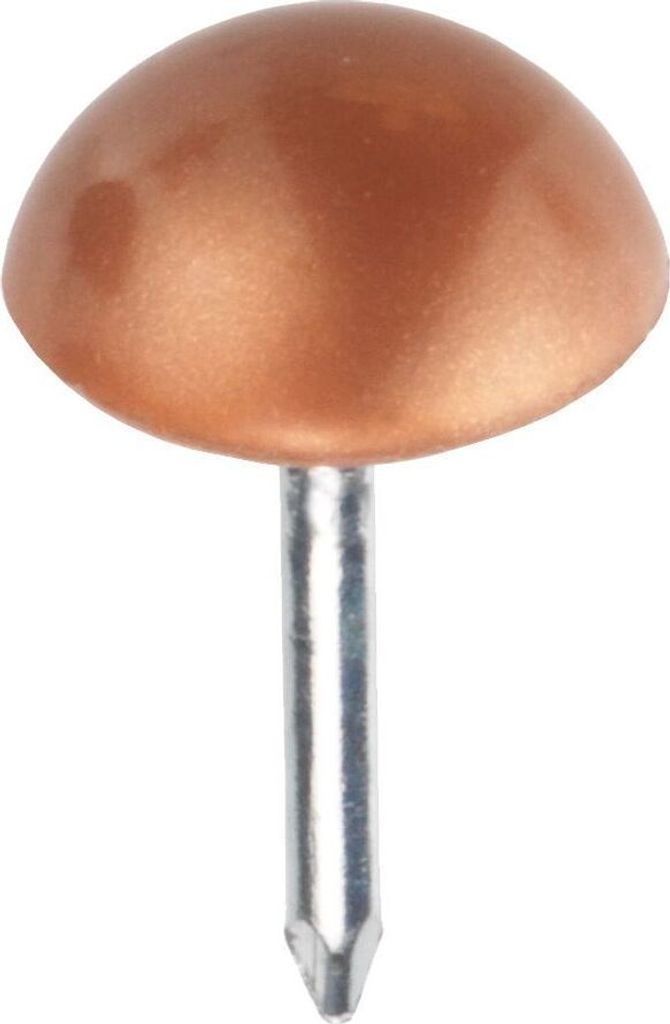 Polsternägel vernickelt Ø 9,0 x 12,5 mm 40 Stück