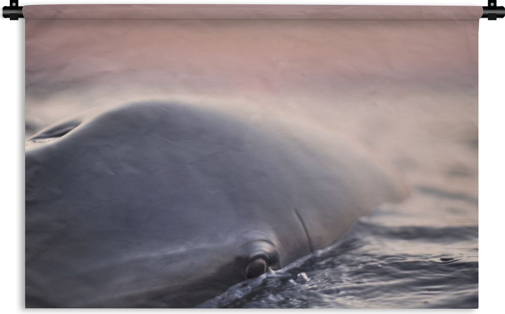 MuchoWow Wandteppich Wandbehang Delfin - Wasser - Nahaufnahme 120x80 cm Tapisserie Dekoration Wandtuch - Wanddekorationen - Wandtücher