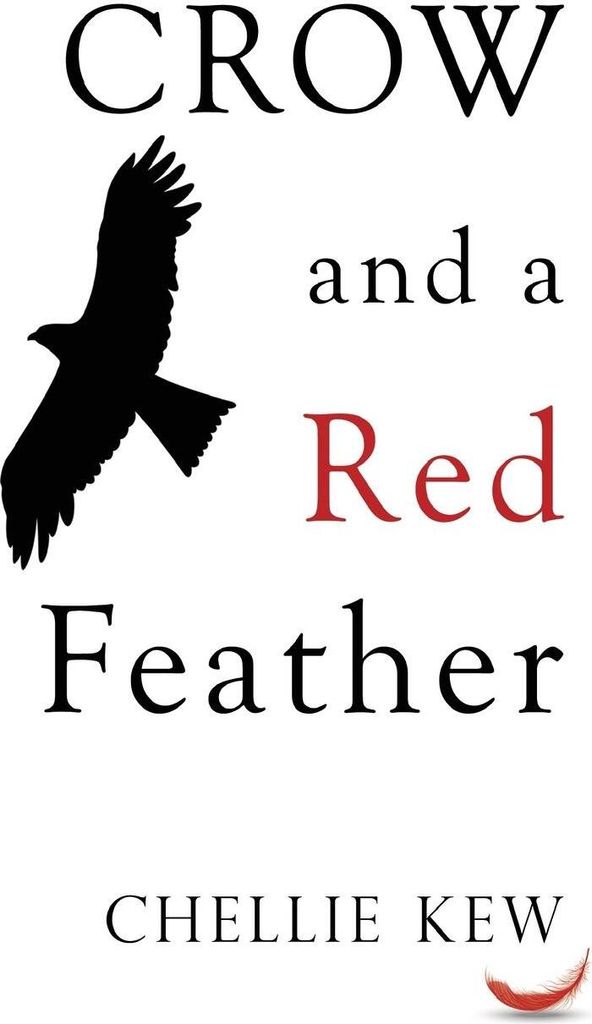 Crow and a Red Feather