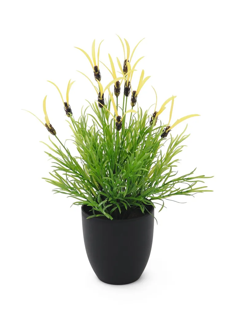 EUROPALMS Laitue à plumes artificielle 40cm 82505639 pour décoration