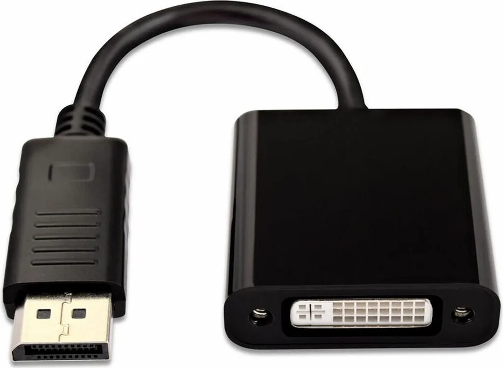 Adaptateur DisplayPort vers DVI pour Connecter un Second Écran sur PC V7