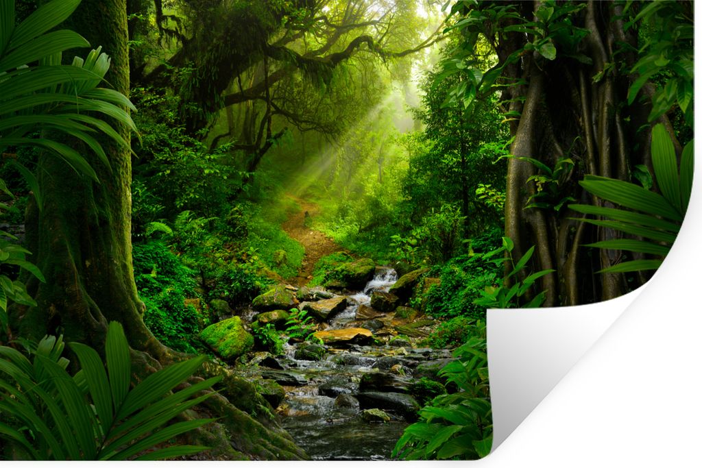 MuchoWow Wandtattoo Wandsticker Wandaufkleber Dschungel - Wasser - Laub - Sonne - Natur 60x40 cm Selbstklebend und Repositionierbar - Wierderverw...
