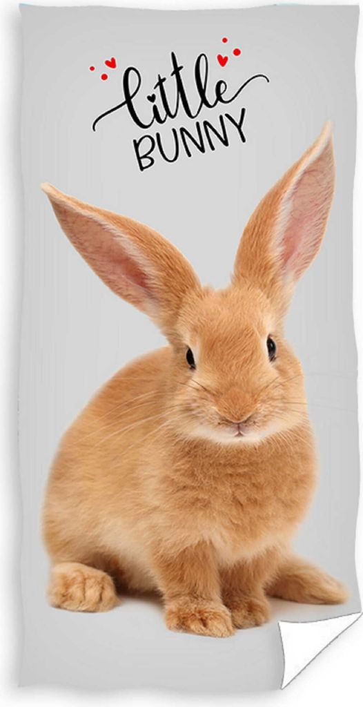 Carbotex Plážová osuška 70x140 zajíček na šedém bavlněném Obrázek produktu 