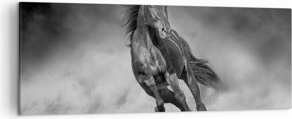 Bild auf Leinwand - Leinwandbild - Einteilig - Pferd Galopp dynamisch - 140x50cm - Wand Bild - Wanddeko - Wandbilder - Leinwanddruck - Bilder - Wan...