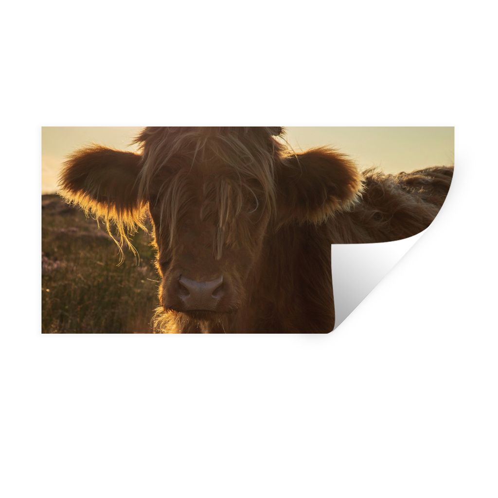 MuchoWow Wandtattoo Wandsticker Wandaufkleber Schottischer Highlander - Sonnenuntergang - Gras 160x80 cm Selbstklebend und Repositionierbar - Sti...
