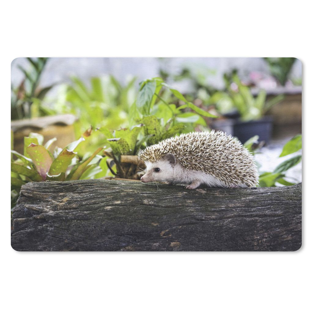 MuchoWow Mauspad Mousepad Igel läuft auf Baumstumpf 27x18 cm - Mousepads - Maus Mat - Pad - Mausunterlage - Büroartikel - Desk Matten