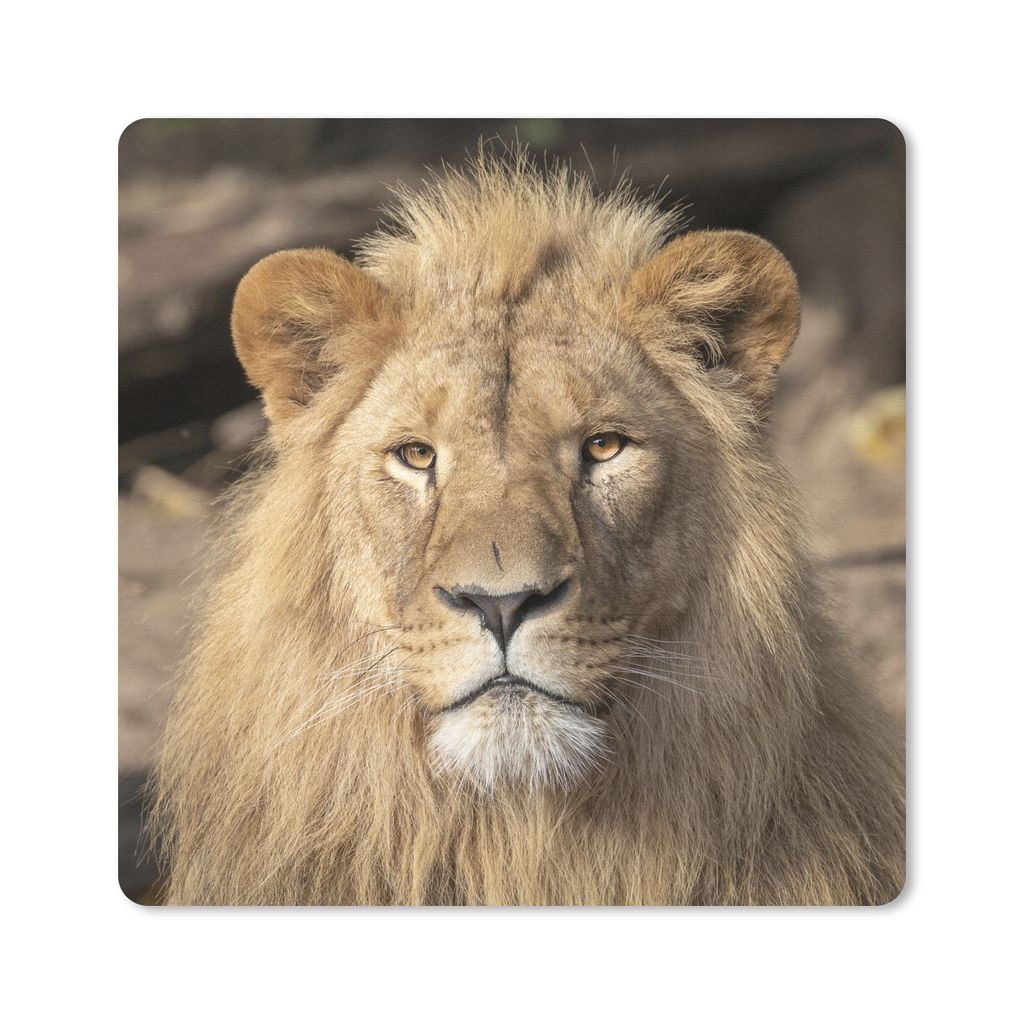 MuchoWow Mauspad Mousepad Löwen - Raubtier - Porträt 30x30 cm - Mousepads - Maus Mat - Pad - Mausunterlage - Gaming