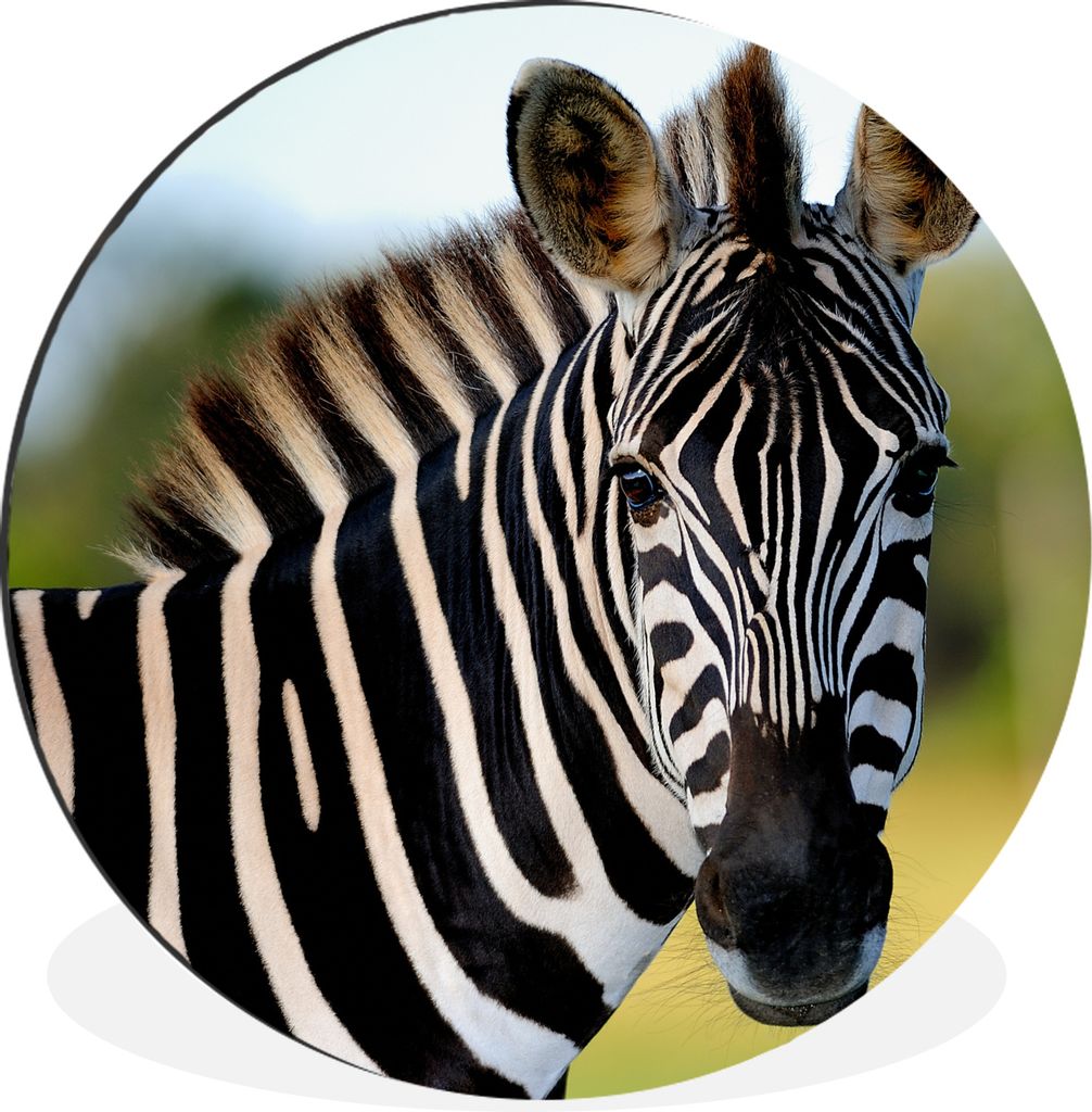 MuchoWow - Mauerkreis - Wandbilder - Runde Bild - Bild aus Aluminium - Schlafzimmer - Wohnzimmerdekoration - Wand Dekoration