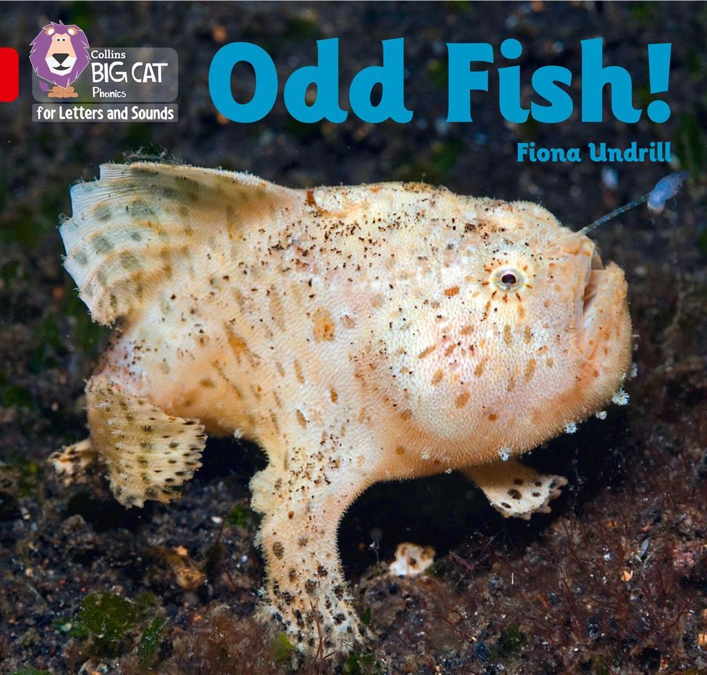 Big Cat L S Odd Fish – Lingua: Inglese