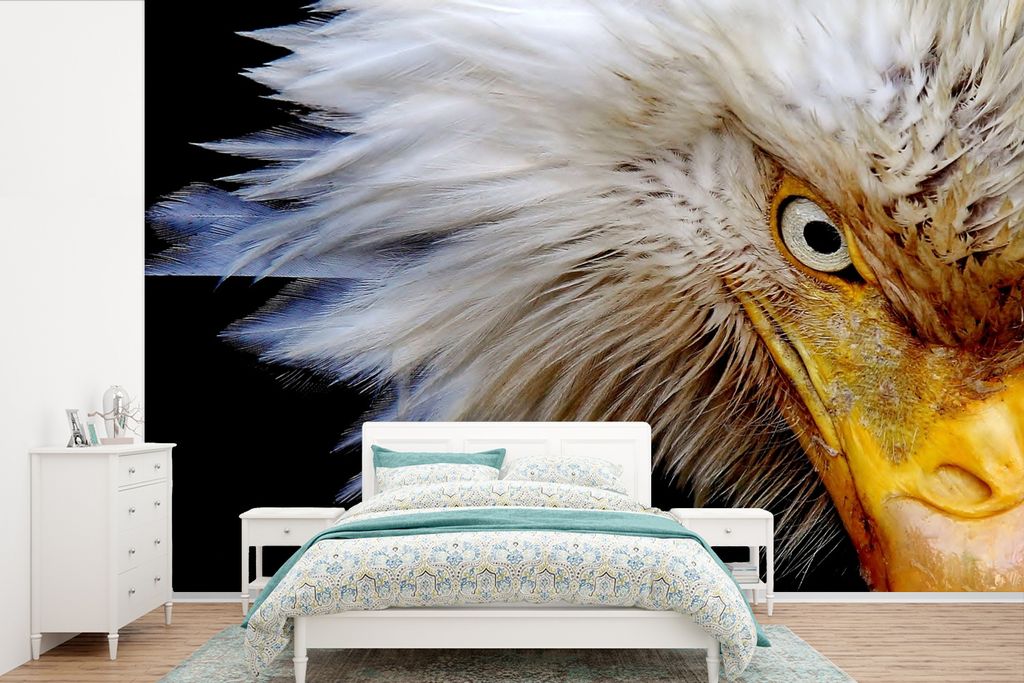 MuchoWow Fototapete für Wohnzimmer oder Schlafzimmer Wandtapete Vinyl Motivtapete Vogel - Auge - Schnabel - 360x240 cm - Vinyl-Tapete