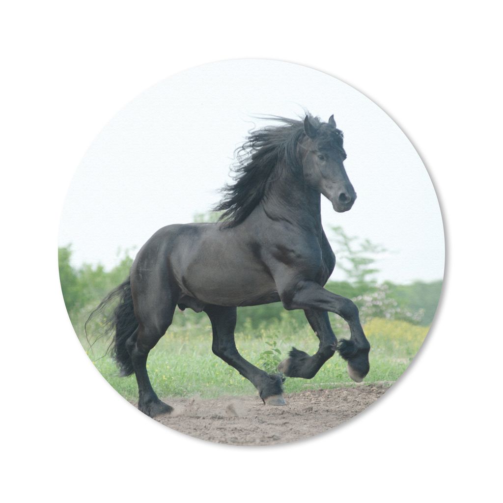 MuchoWow Mauspad Mousepad Pferd - Schwarz - Natur 50x50 cm - Mousepads - Maus Mat - Pad - Mausunterlage - Vinyl