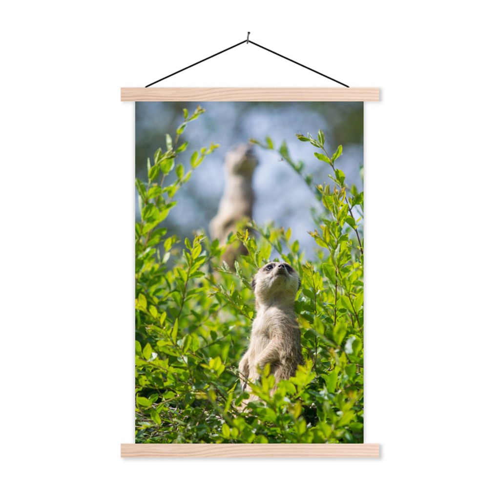MuchoWow Textilposter Büsche - Erdmännchen - Tier 40x60 cm mit holzfarbenen Rahmen - Poster