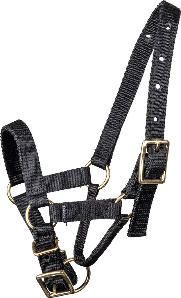 Waldhausen Capezza Alpaca Nero L - Resistente e Regolabile per Allevatori