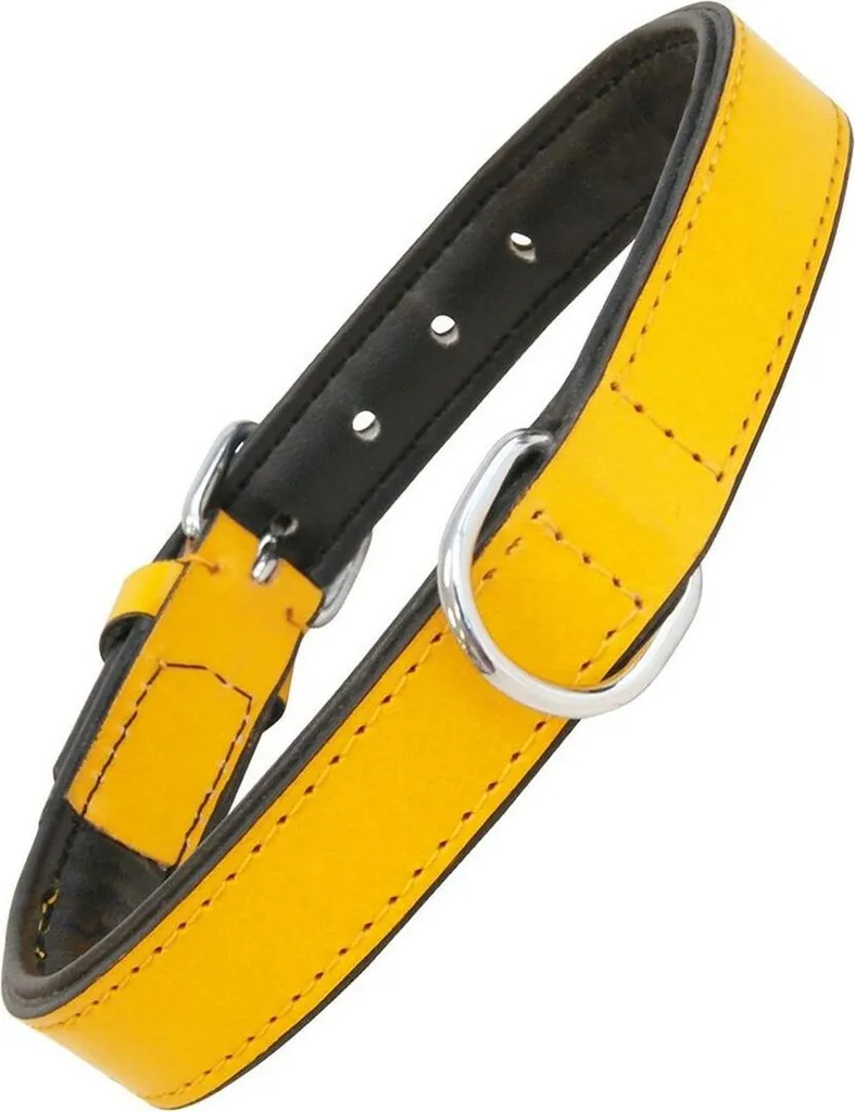 Collare per cani imbottito giallo Gloria (55 x 2,5 cm)