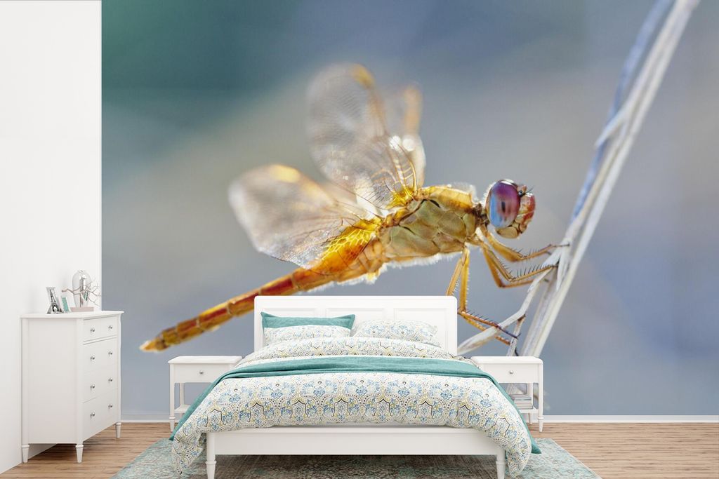MuchoWow Fototapete für Wohnzimmer oder Schlafzimmer Wandtapete Vinyl Motivtapete Libelle auf einem Sprite in der Camargue - 390x260 cm - Papier...