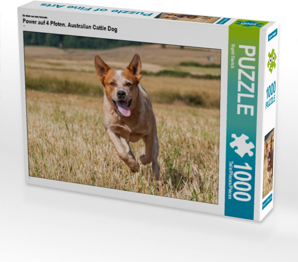 CALVENDO Puzzle Ein Motiv aus dem Kalender Power auf 4 Pfoten. Australian Cattle Dog | 1000 Teile Lege-Größe 64x48cm Foto-Puzzle für glückliche...