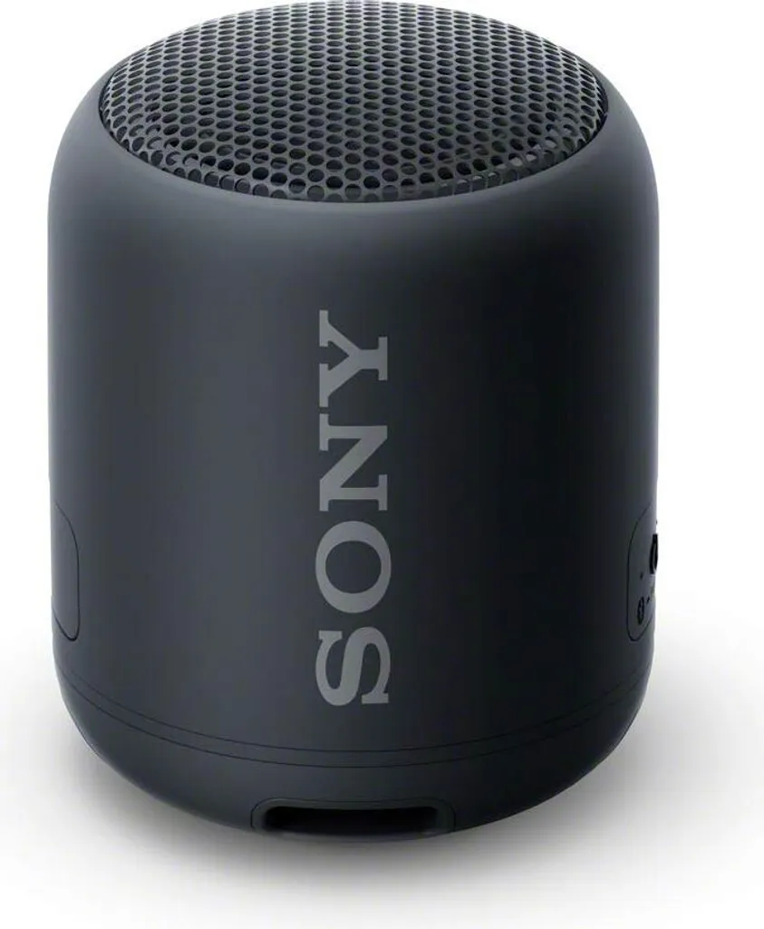 Sony SRS-XB12 Enceinte Étanche et Antipoussière Noire avec 16h d'Autonomie