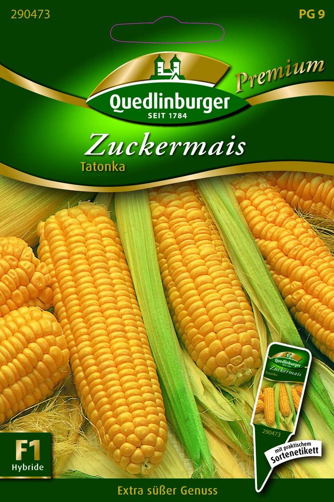 Quedlinburger Saatgut - Zuckermais Tatonka - Samen - 290473 Produktbild 