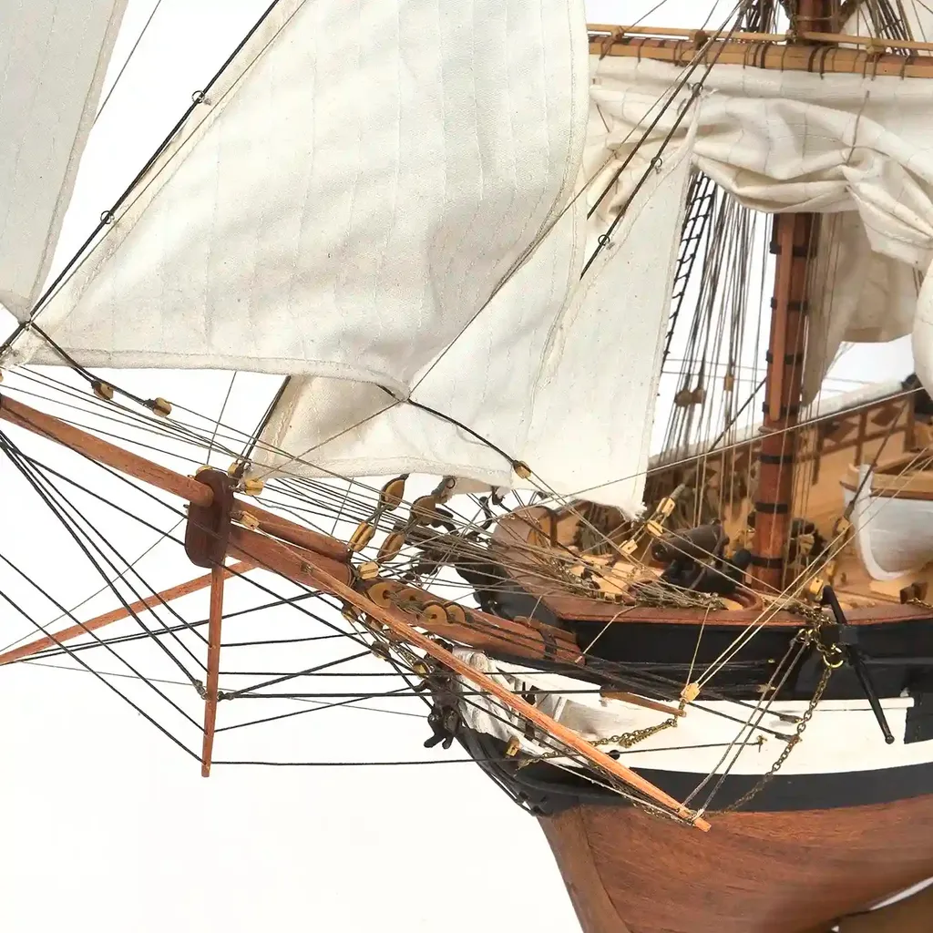 Maquette HMS Beagle 1:60 Haute Précision - Kit sans Défaut pour Passionné - 5