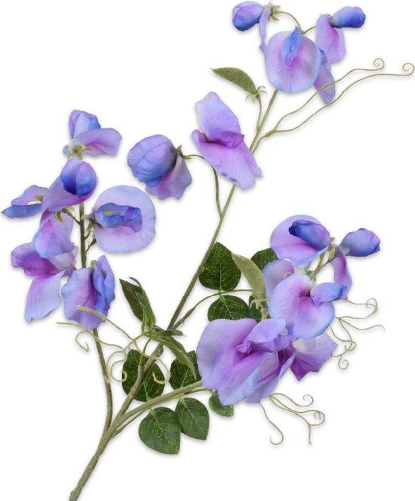 Silk-ka Künstliche Blume – Seidenblume, Lathyrus-Zweig, Produktbild 