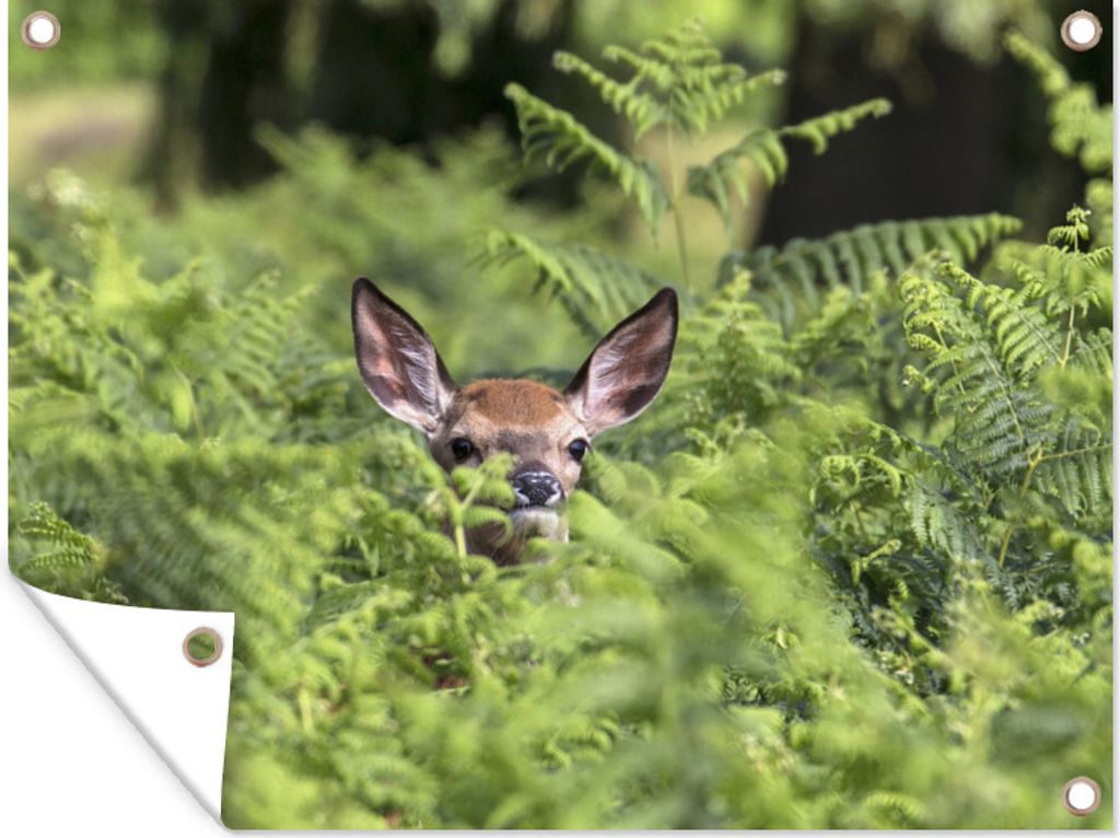 MuchoWow 80x60 cm Outdoor-Poster Gartendeko Sichtschutz Garten Poster für den Garten Hirsche - Kopf - Farn