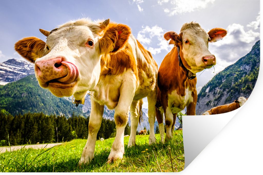 MuchoWow Wandtattoo Wandsticker Wandaufkleber Kühe - Berge - Gras - Landschaft - Alpen 90x60 cm Selbstklebend und Repositionierbar - Aufkleber