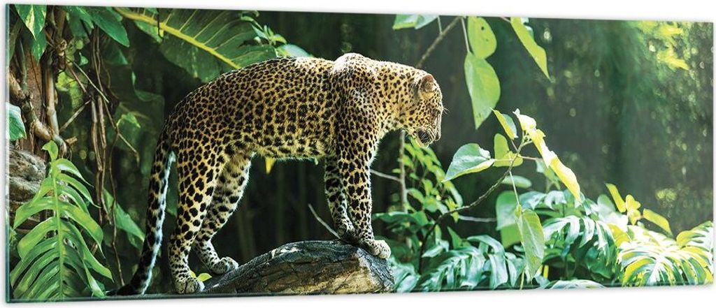Bilder auf glas - Einteilig - Dschungel Leopard Panther - 140x50cm - Glasbilder - Wandbilder - Bilder - Wanddekoration aus Glas - Glas Bilder - Wan...