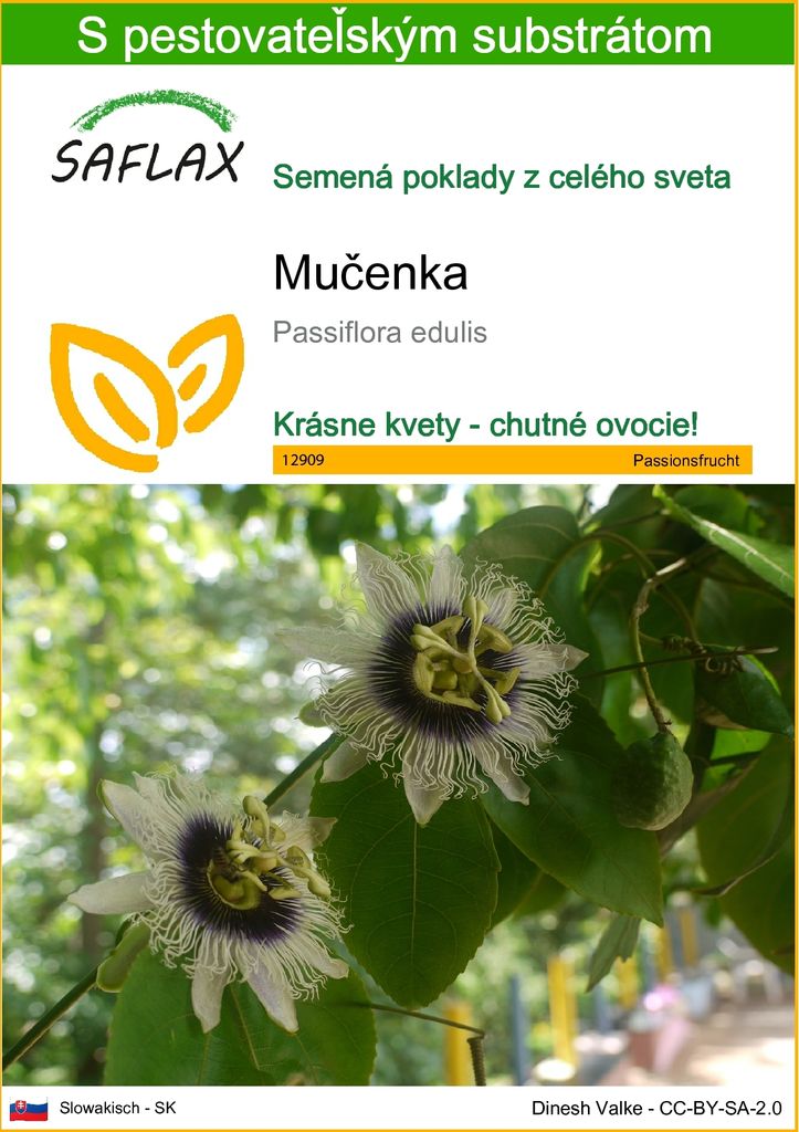 SAFLAX - mučenka - Passiflora edulis - 40 Semená - S Obrázok produktu 